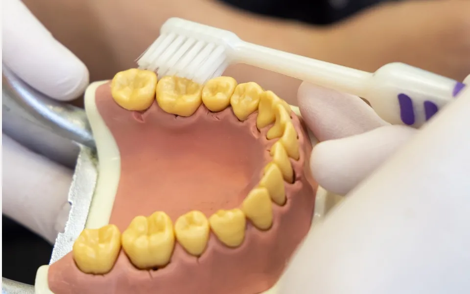 痛みを処置するだけの治療から脱却